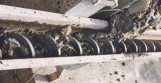 शहरी जल संयंत्र के लिए सिंगल शाफ्ट स्क्रू बेल्ट कन्वेयर Con