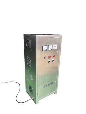 304SS वायु स्रोत ओजोन जेनरेटर वाटर कूल्ड ओजोन उपकरण औद्योगिक 10g 100g